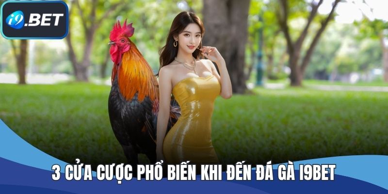 3 cửa cược phổ biến khi đến đá gà I9BET