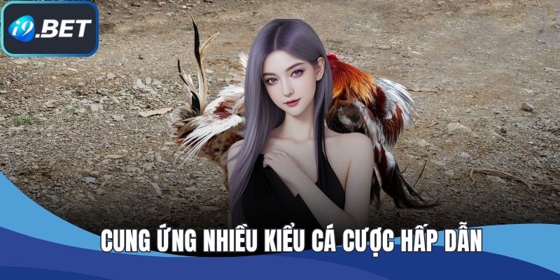 Cung ứng nhiều kiểu cá cược hấp dẫn