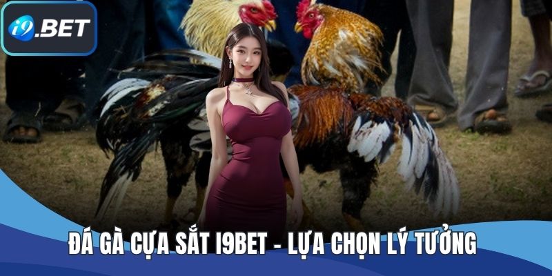 Đá Gà Cựa Sắt I9BET - Lựa Chọn Lý Tưởng Cho Người Đam Mê