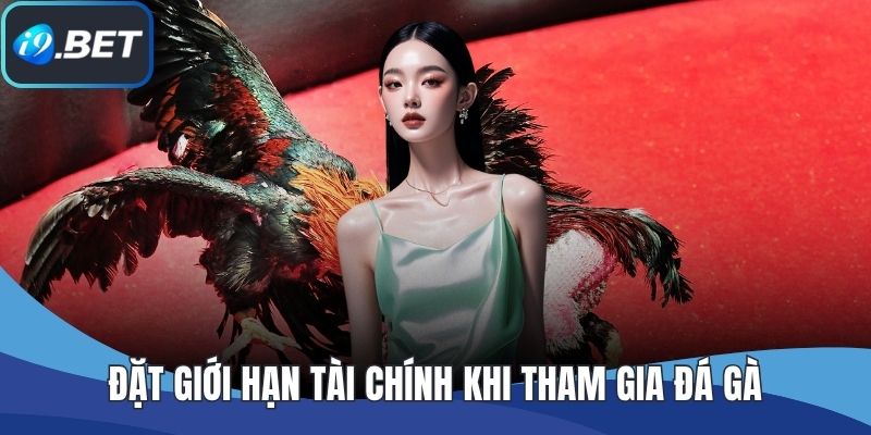 Đặt giới hạn tài chính khi tham gia đá gà