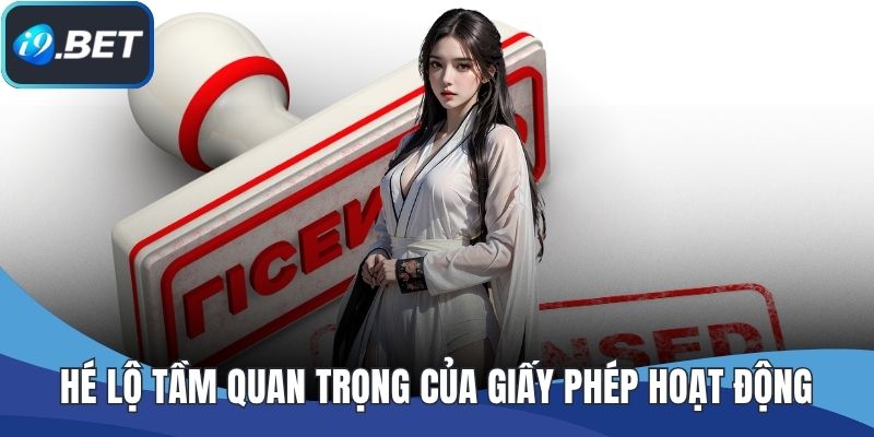 Hé lộ tầm quan trọng của giấy phép hoạt động