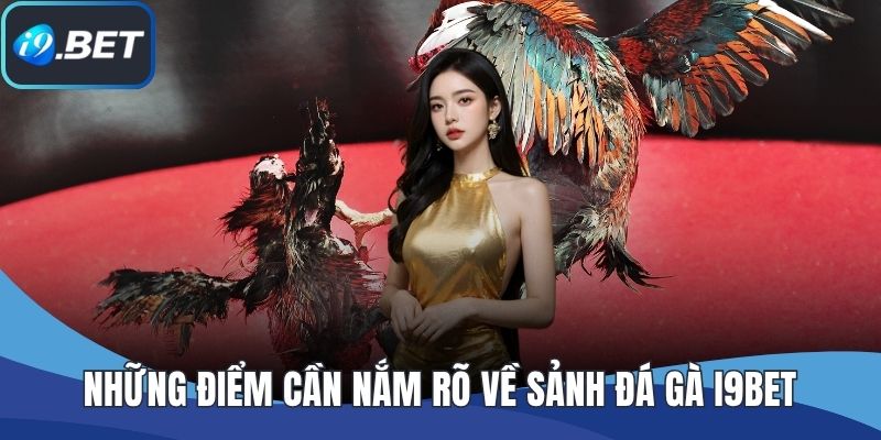 Những điểm cần nắm rõ về sảnh đá gà I9BET