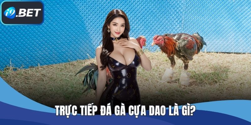 Trực tiếp đá gà cựa dao là gì?