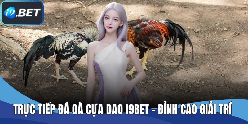Trực Tiếp Đá Gà Cựa Dao I9BET – Đỉnh Cao Giải Trí Cho Đam Mê